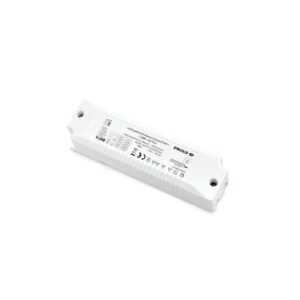 218854_WEB001_BASIC_DRIVER_1_10V_31W.jpg